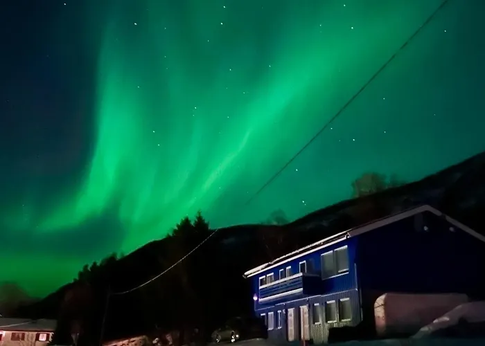 Artic Dream