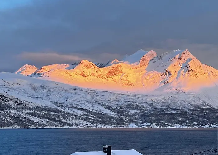 Artic Dream