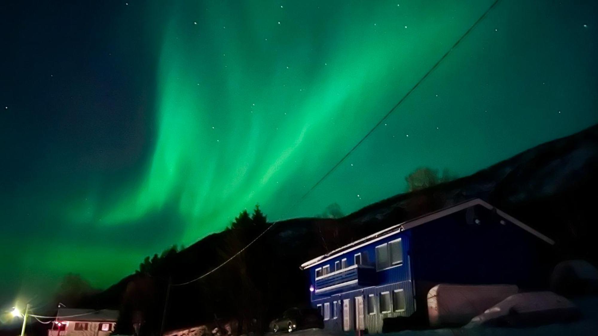 Artic Dream