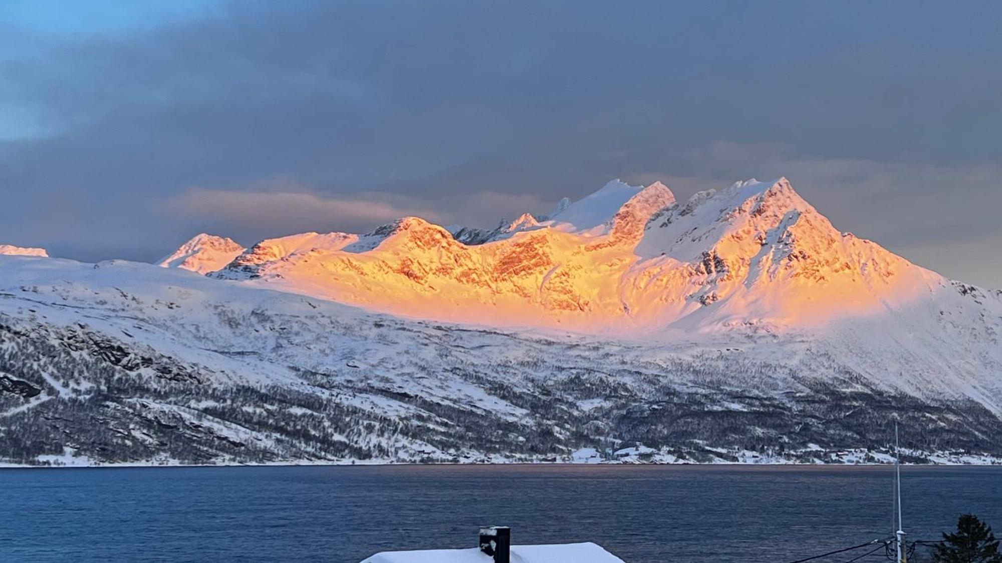 Artic Dream Gratangen