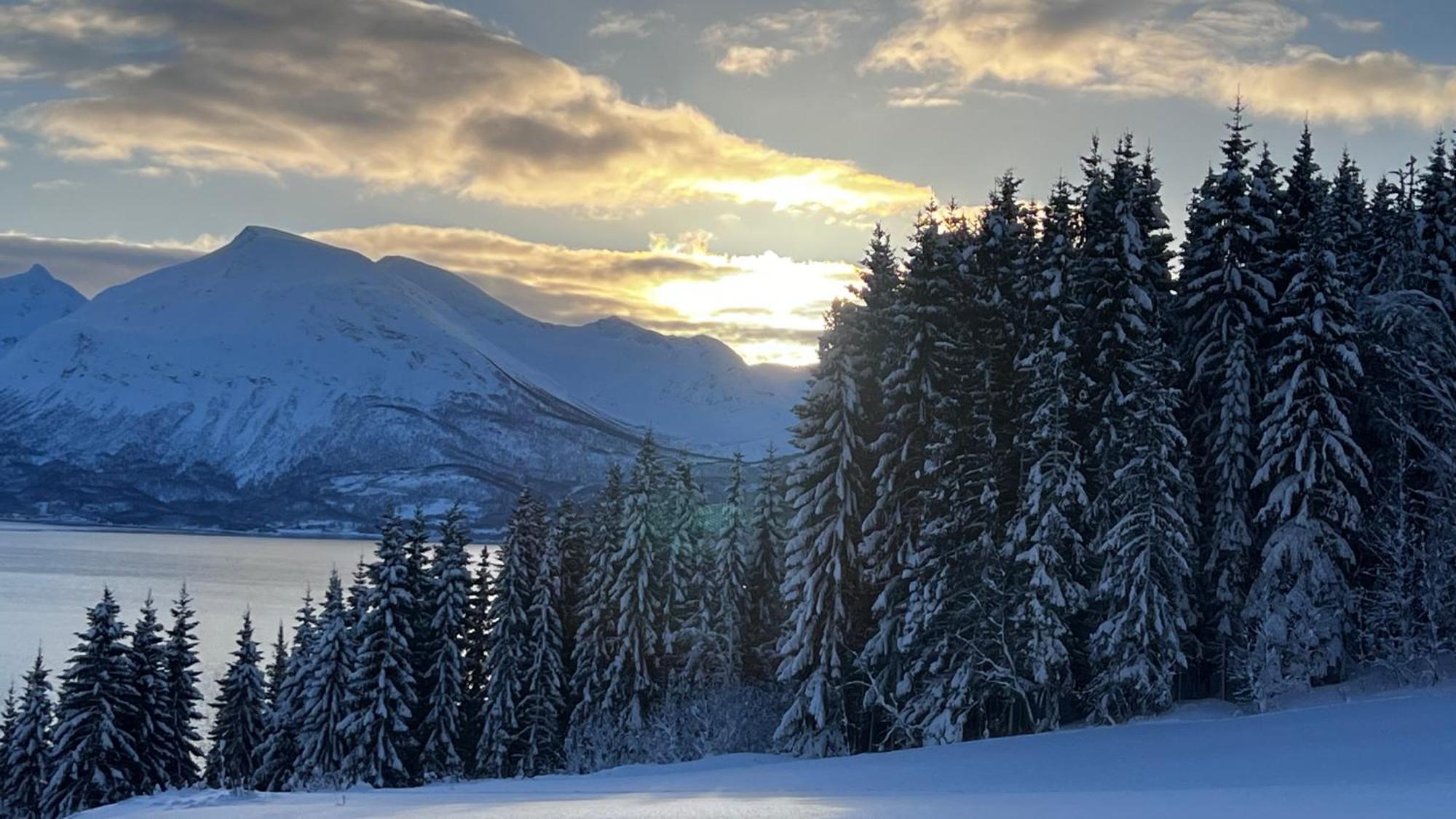 Apartment Artic Dream Gratangen